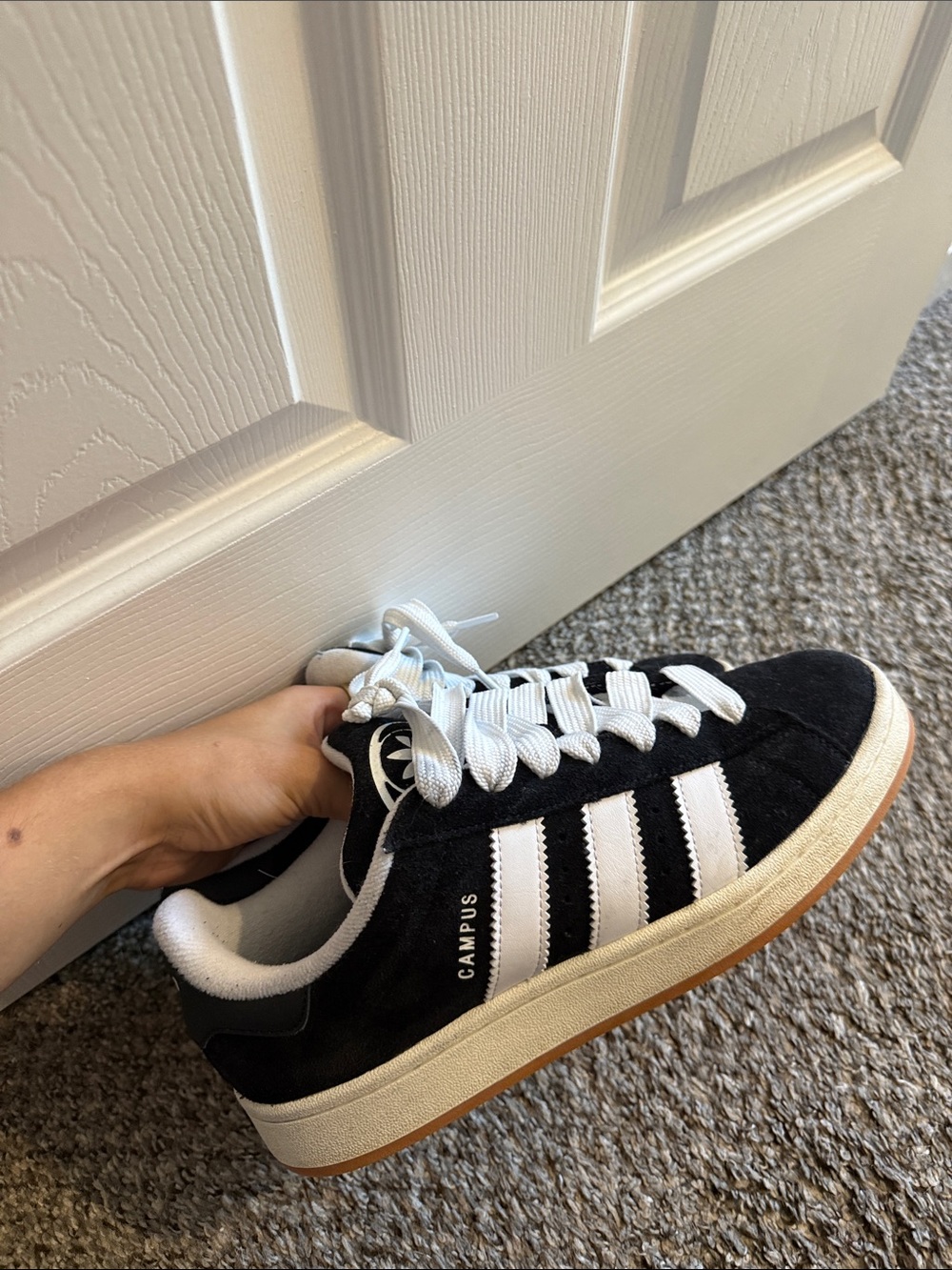 Adidas campus shoes